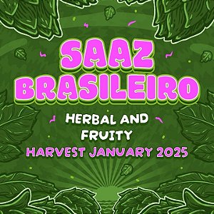 Lúpulo Saaz Brasileiro Start Hops pct 50g