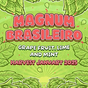 Lúpulo Magnum Brasileiro Start Hops pct 50g