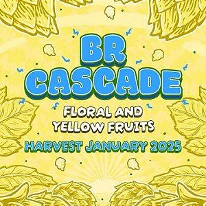 Lúpulo BR Cascade Start Hops pct 50g