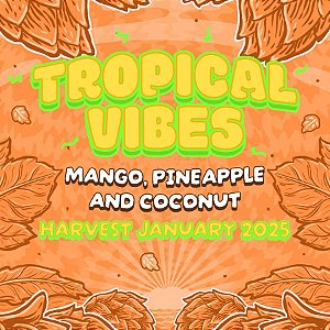 Lúpulo Blend Tropical Vibes Start Hops pct 50g