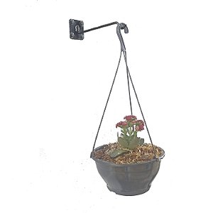 Suporte Para Vaso de Flor Gancho Extendido Organizador