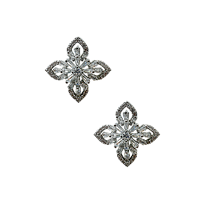 Brinco Pequeno Semijoia Prata Shine BF1320