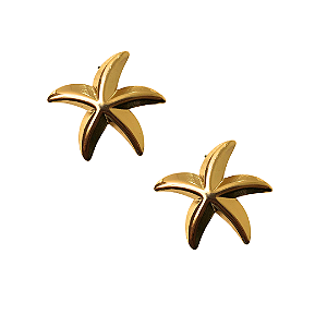 Brinco Médio Dourado de Aço Estrela BM2138