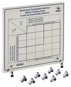 Quadro Para Cruzamentos Genéticos