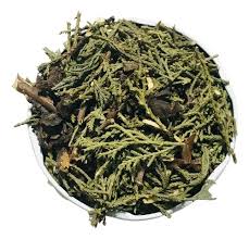 Tuia - BELEZA DA TERRA