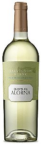 Vinho branco Sauvignon Blanc Quinta da Alorna