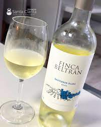 Vinho branco Sauvignon Blanc Finca Beltran Mendoza