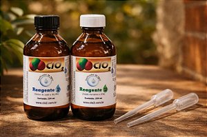 KIT SANITIZANTE 250 mL+ 250 mL