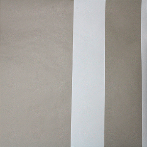 Papel de Parede Importado Bege Minimalista Rolo com 10 Metros