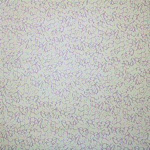 Papel de Parede Importado Texturizado Verde Abacate 10 Metros