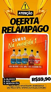 OFERTA RELÂMPAGO: 3L BLONDE + 1L APA + 1L IPA