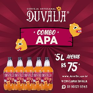 COMBO 5L APA