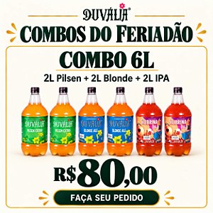 (OFERTA) COMBO: 2L PILSEN + 2L BLONDE + 2L IPA
