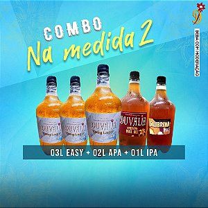 COMBO NA MEDIDA 2 (3 EASY + 1 APA + 1 IPA)