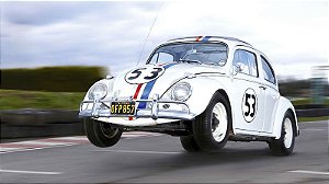 HERBIE 003 A4