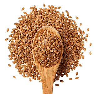 Semente de Linhça Dourada 500g - A Granel