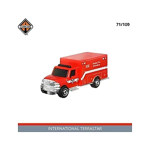 International Terrastar