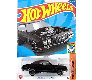 Chevelle Ss Express