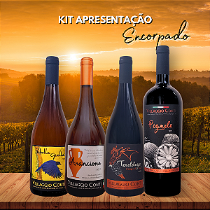KIT APRESENTAÇÃO ENCORPADO - 4un.Vinhos VILLAGGIO CONTI