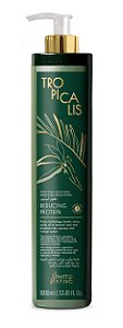 Alinhamento Térmico TROPICALIS 1L | Selagem Orgânica Passo Único | Phyto Ativo