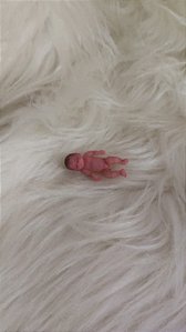 Mini Bebê Reborn Silicone Sólido Completo *Amandinha* A PRONTA ENTREGA