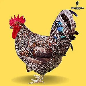 Carijó Gigante ou Pedrez, Ovos Galados - 1 Dúzia