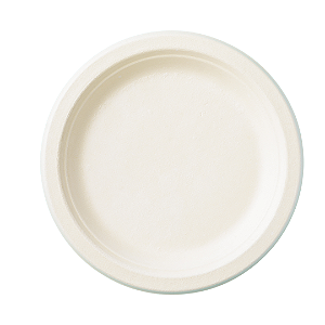 PRATO DE BAGAÇO DE CANA 23 CM BIODEGRADÁVEL