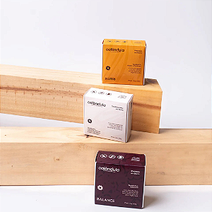 DUO SHAMPOO E CONDICIONADOR SÓLIDO