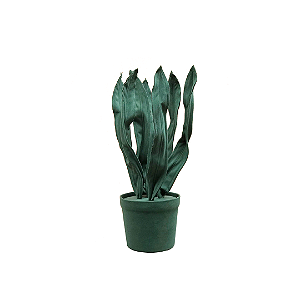 Espada de São Jorge P