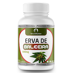 Extrato de Erva Baleeira 500mg 100 Cápsulas Puro - Natural Nutrien