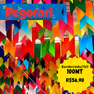 Bandeirinha Festa Junina Em Tnt 100metros Coloridas 16x26cm