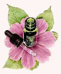 Terapia Floral