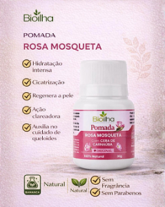 Pomada de Rosa Mosqueta 30g (Rosehip Ointment 30g)