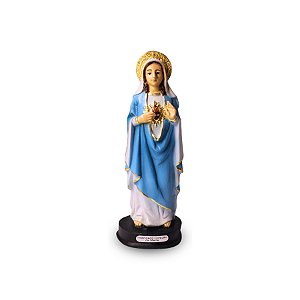 Sagrado Coração de Maria Resina 15cm