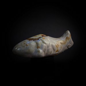 BICHO: CARPA PEQUENA RUTILO