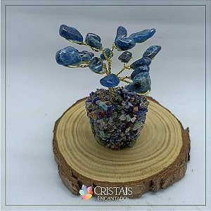 Árvore de apatita azul