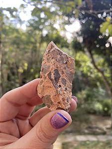 Leopardita Bruta