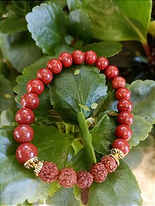 Pulseira de jaspe vermelho e semente de rudraksha