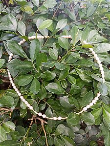 Chocker pérola