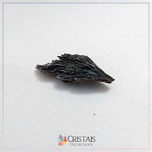 Vassourinha De Bruxa Média