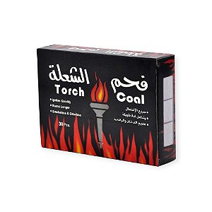 CARVÃO VEGETAL PRATA TORCH COAL
