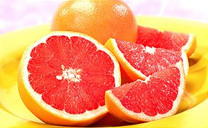 Muda de laranja bahia Vermelha (Umbigo) enxertada Produzindo
