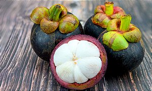 Mudas De Mangostin / Mangotão Roxo Verdadeiro (Fruto Da Rainha)