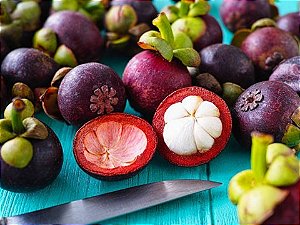Muda De Mangostin Roxo Produzindo (Mudas Velhas) Garcinia mangostana
