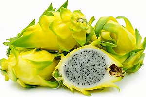 Muda Clonada Pitaya Amarela Sem Espinhos muito exotica e saborosa