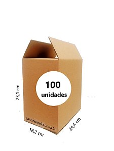 Caixa de Papelão Parda para 12 Garrafas de 355ml - C: 24,4cm L: 18,2cm A: 23,1cm - Pacote com 100 Unidades