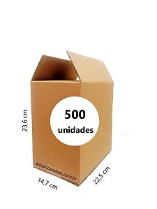 Caixa de Papelão Parda para 6 Garrafas de 600ml - C: 22,5cm L: 14,7cm A: 23,6cm - Pacote com 500 Unidades
