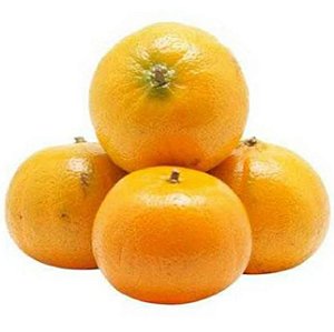 MORGOTE TANGERINA KG