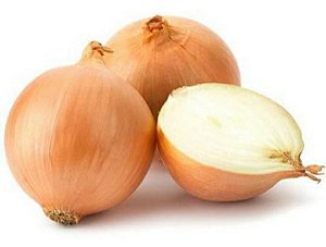 CEBOLA KG