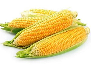 MILHO VERDE BDJA 700 GR